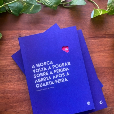 A mosca volta a pousar sobre a ferida aberta após a quarta-feira, de Gabriela Pereira de Freitas