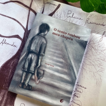 O vento roubou meu chapéu, de Aline Silva