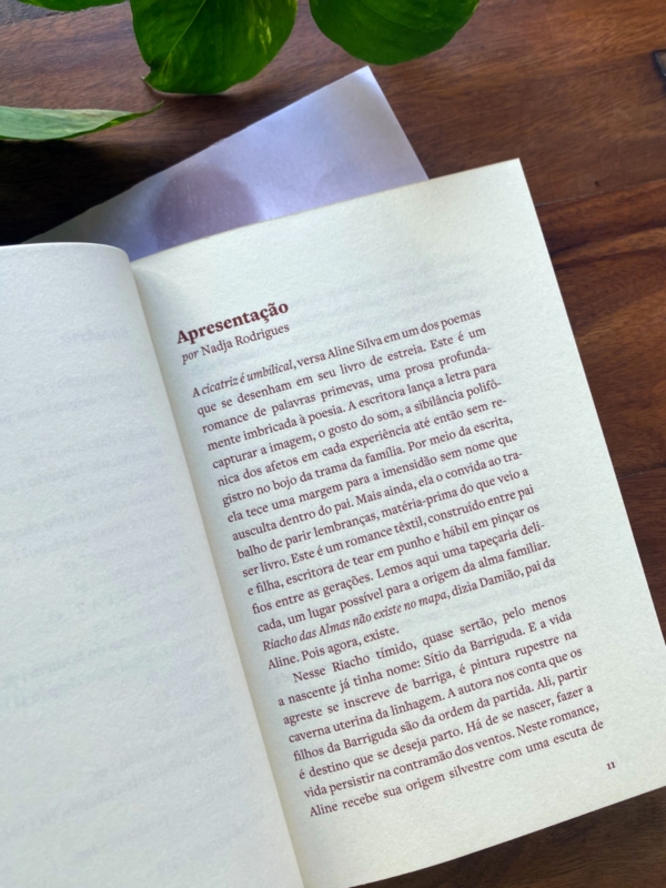 Product image thumbnail