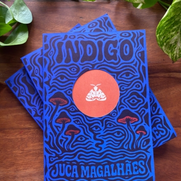 Índigo, de Juca Magalhães