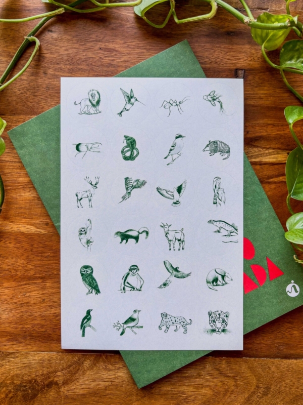 Product image thumbnail